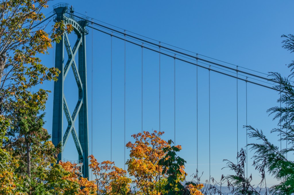 A photograph of Lionsgate Bridge through orange and green leaves.
