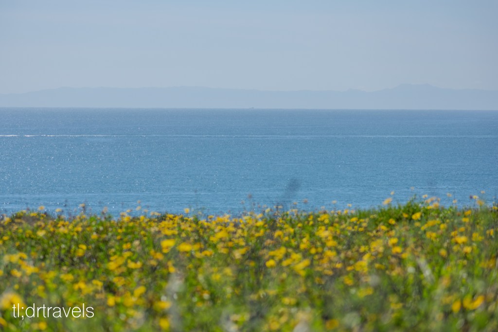 Shop Local in OC: The Top 4 Locally-Owned Malls in Orange County,&nbsp;CA