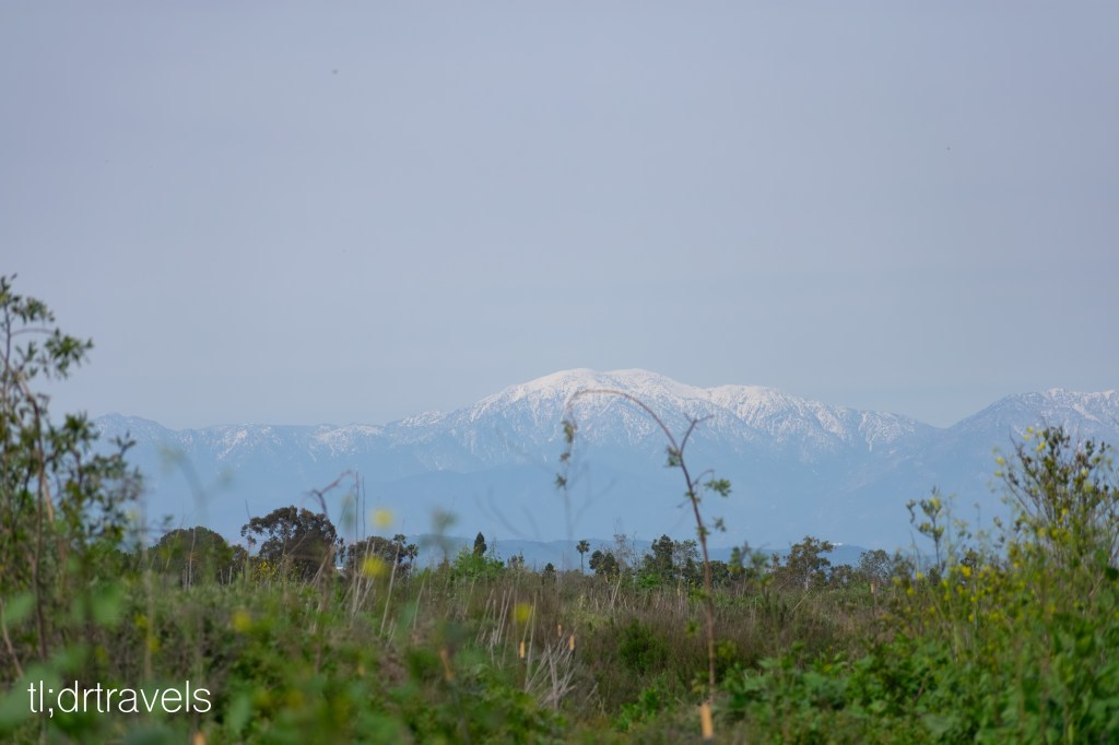 Discovering Costa Mesa: Free and Affordable Weekend&nbsp;Fun