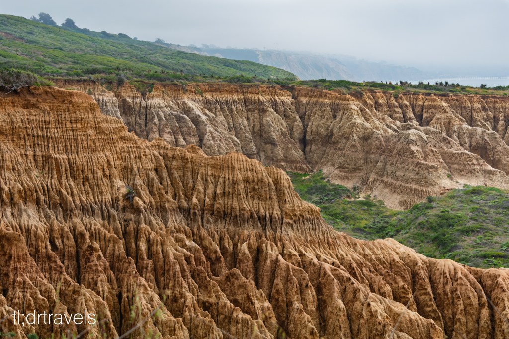 Plan Your Visit to Torrey Pines: Parking, Logistics, and Things to&nbsp;Do