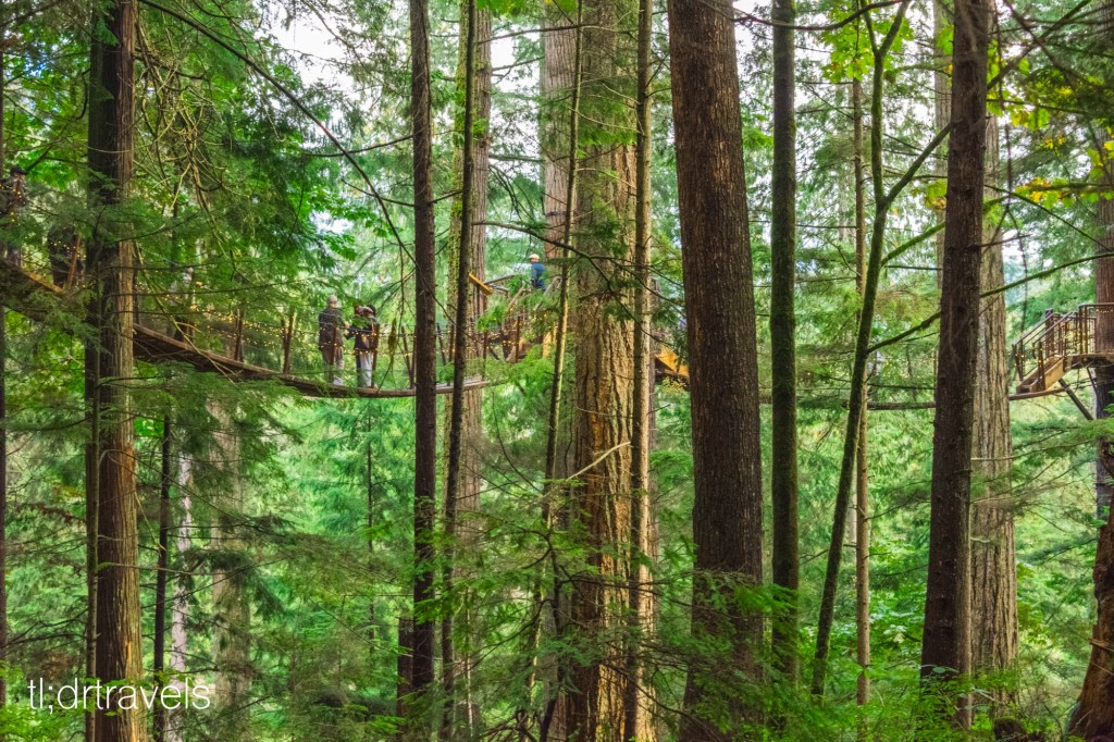 What to Do in Vancouver: Explore Capilano Suspension Bridge&nbsp;Park