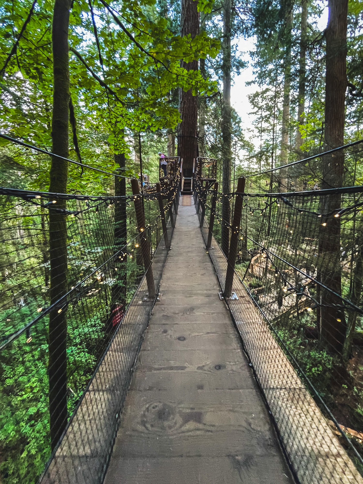 What to Do in Vancouver: Explore Capilano Suspension Bridge Park – TL ...