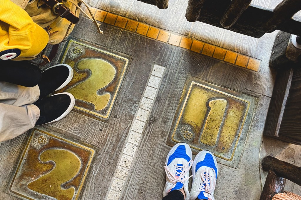 People stand in line before the ride, with numbers marking their spot. 