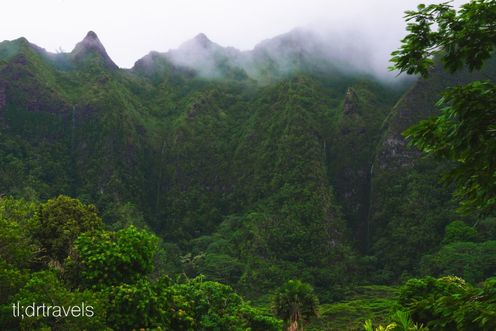 Your Ultimate Guide to Ho’omaluhia Botanical&nbsp;Garden