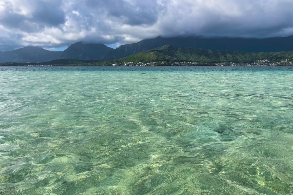 Exploring the Kāneʻohe Sandbar: A Hidden Gem in&nbsp;Oʻahu
